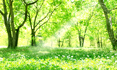 安心と安全が一番大切なこと